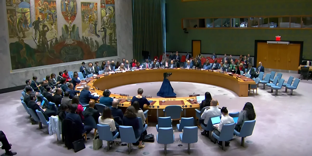 U.N. Security Council - Video Screenshot