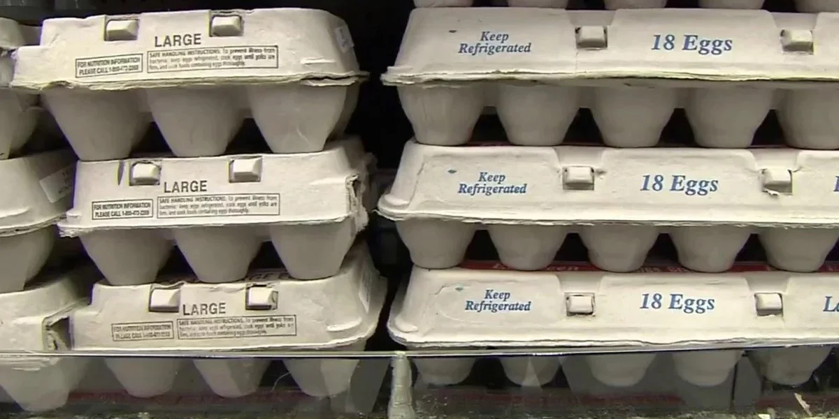 Salmonella Outbreak Linked to Eggs / Video Screenshot