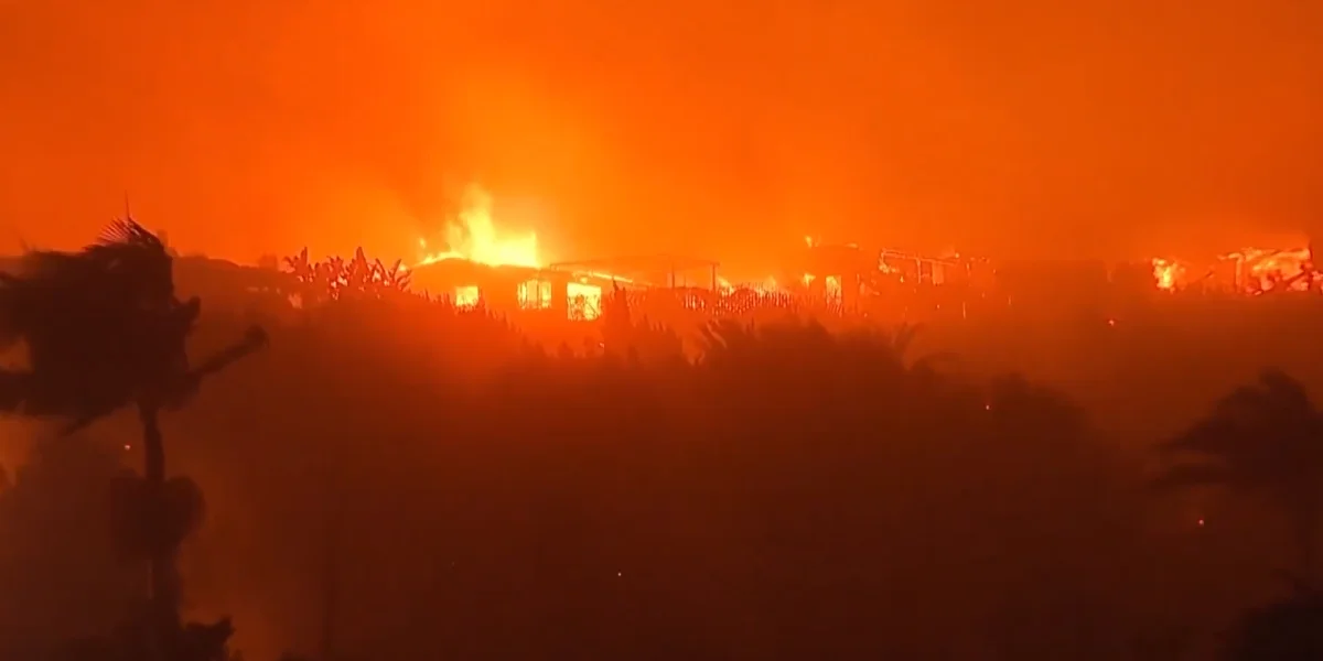 Wildfires in Los Angeles / Video Screenshot