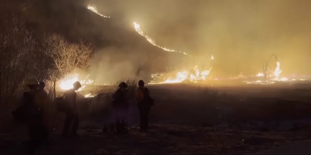 Wildfires in Los Angeles / Video Screenshot