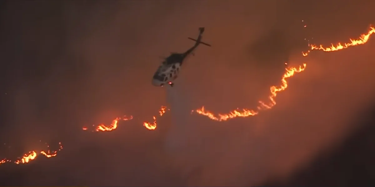 Wildfires in Los Angeles / Video Screenshot