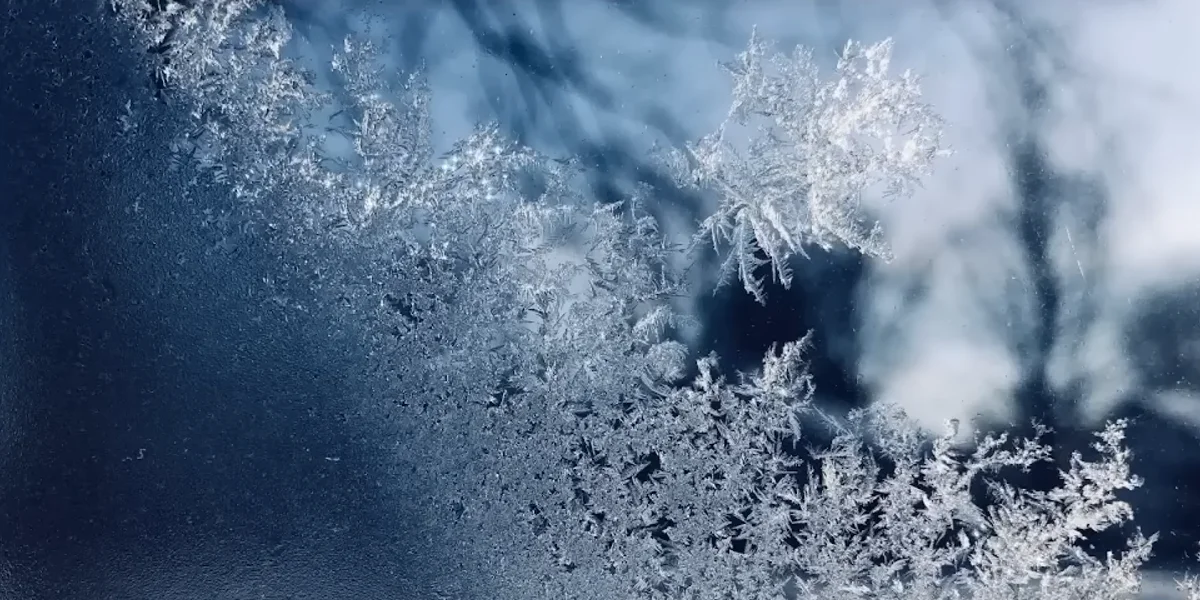 Winter storm / Video Screenshot