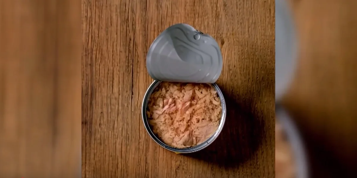 Canned tuna / Video Screenshot