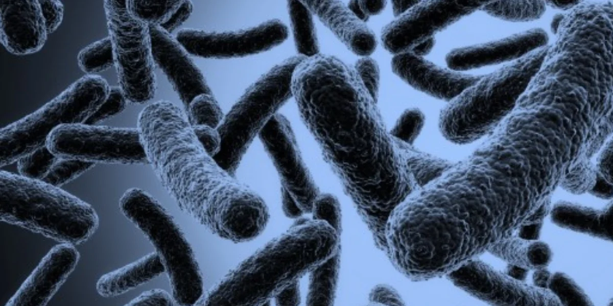 Listeria outbreak in the U.S / Video Screenshot